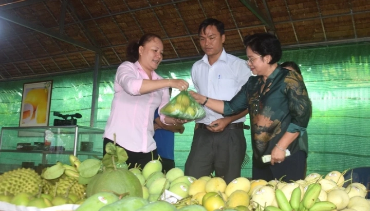  Major Export Markets for Vietnamese Fruits